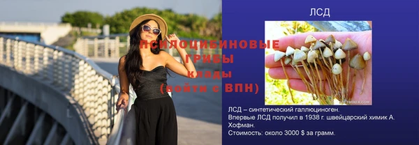 спайс Богданович
