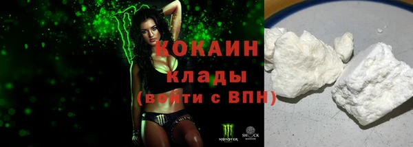 спайс Богданович