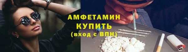 спайс Богданович