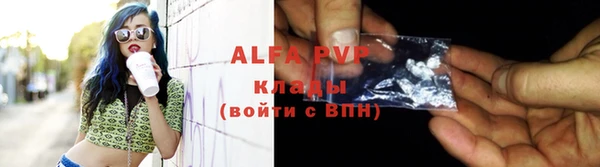 спайс Богданович