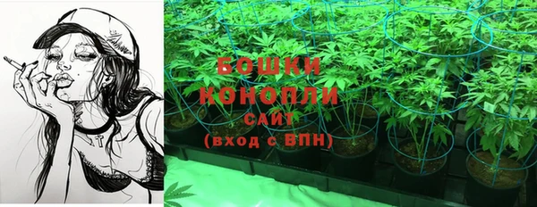 спайс Богданович
