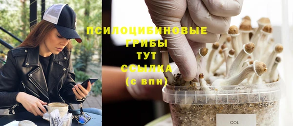 прущие крисы Богородск