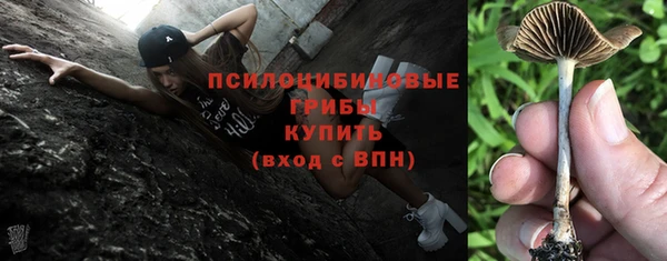 спайс Богданович