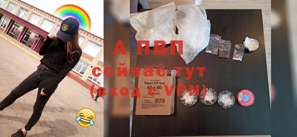 спайс Богданович