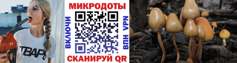 Галлюциногенные грибы ЛСД  Купить закладки  Новодвинск 