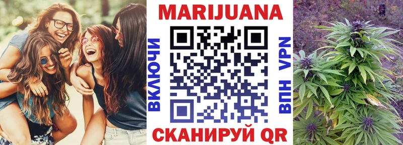 Купить закладки  Новодвинск  Канабис гибрид 